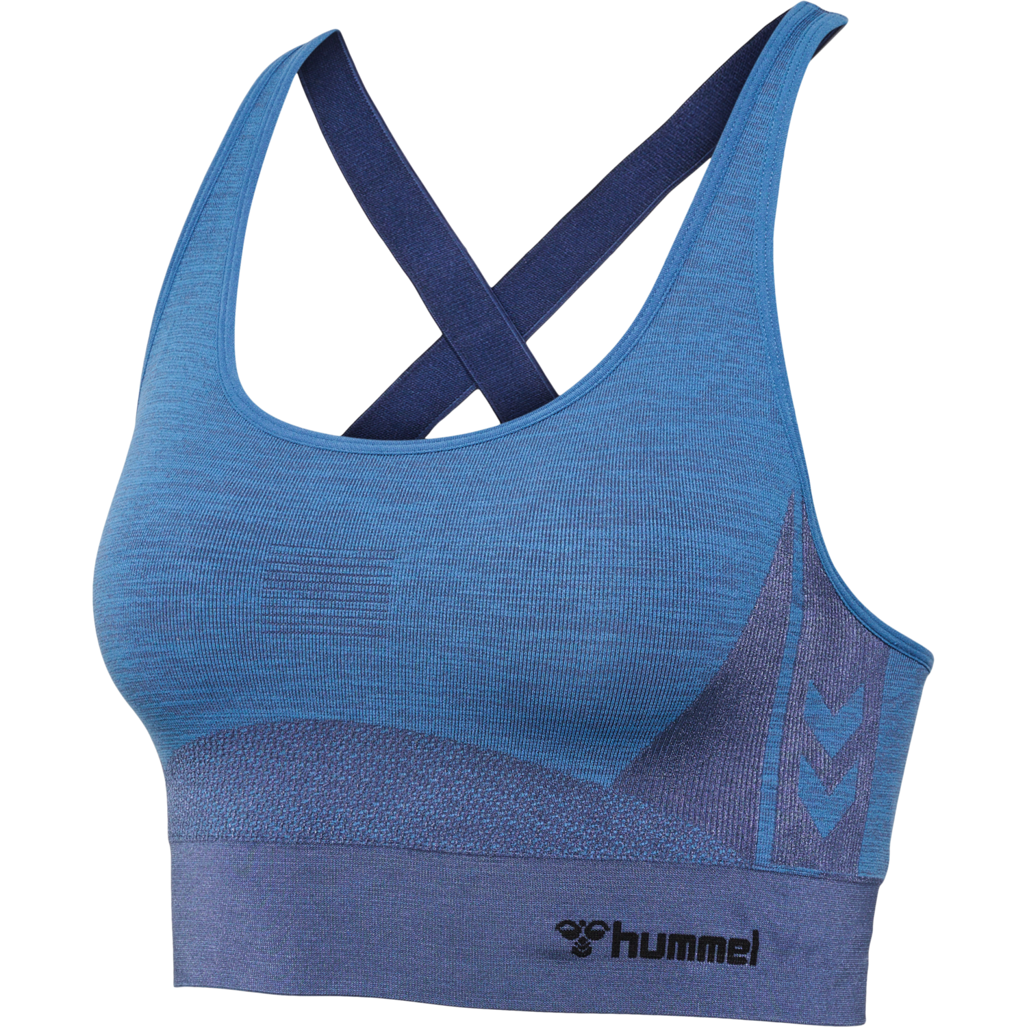 hmlCLEA SEAMLESS  SPORTS TOP, RIVIERA/INSIGNIA BLUE MELANGE, packshot