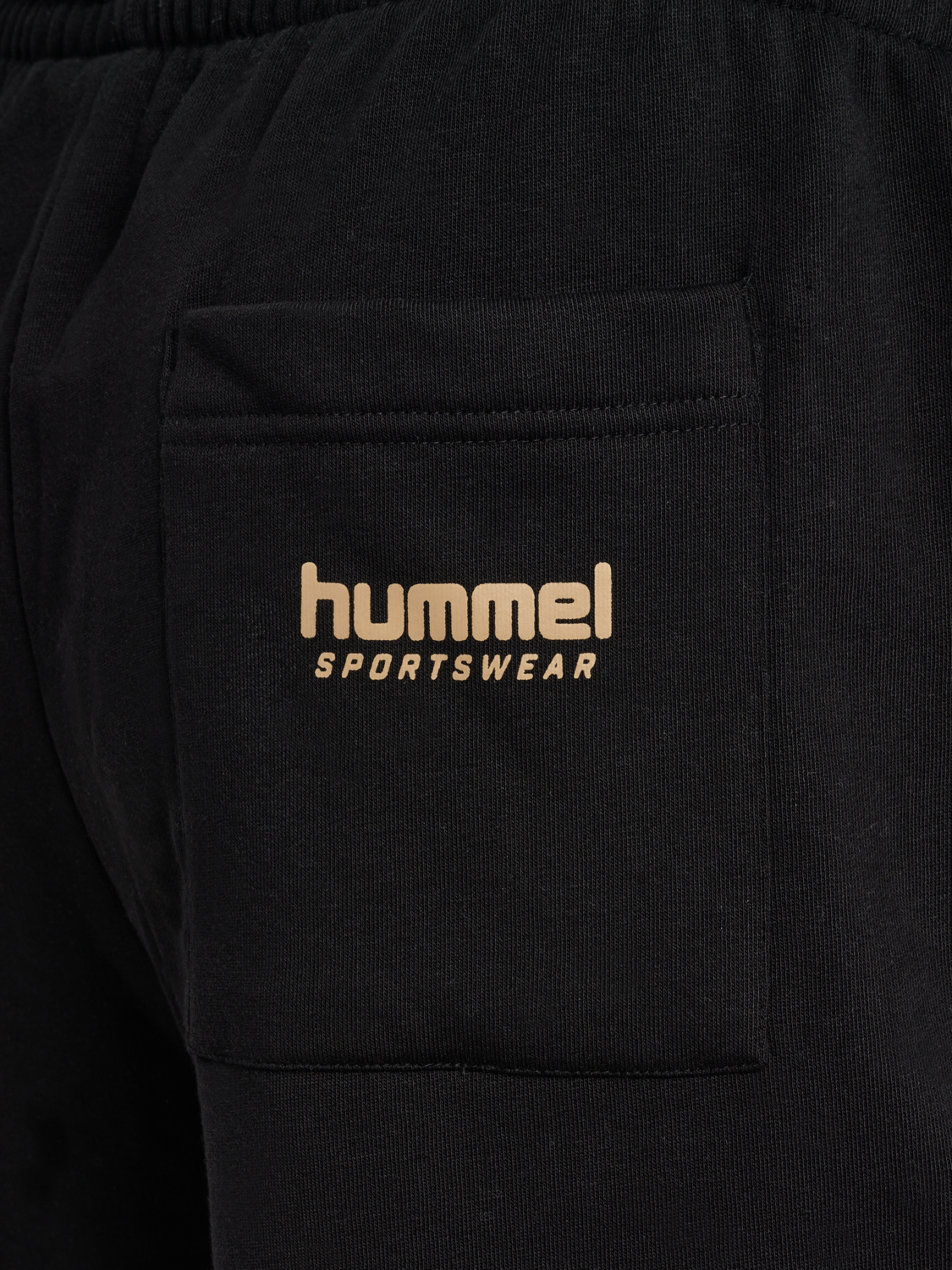 hmlSWARM SHORTS, BLACK, packshot