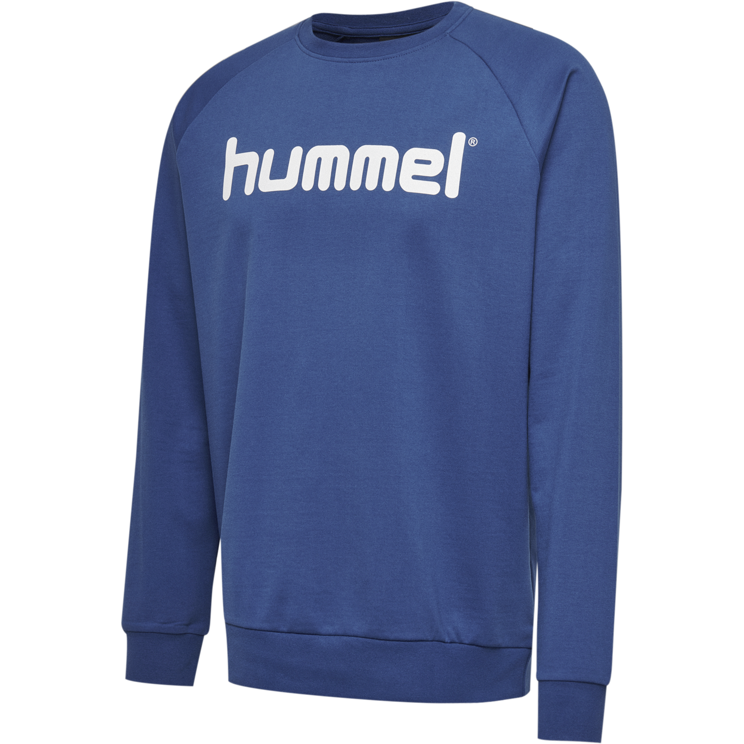 HMLGO KIDS COTTON LOGO SWEATSHIRT, TRUE BLUE, packshot