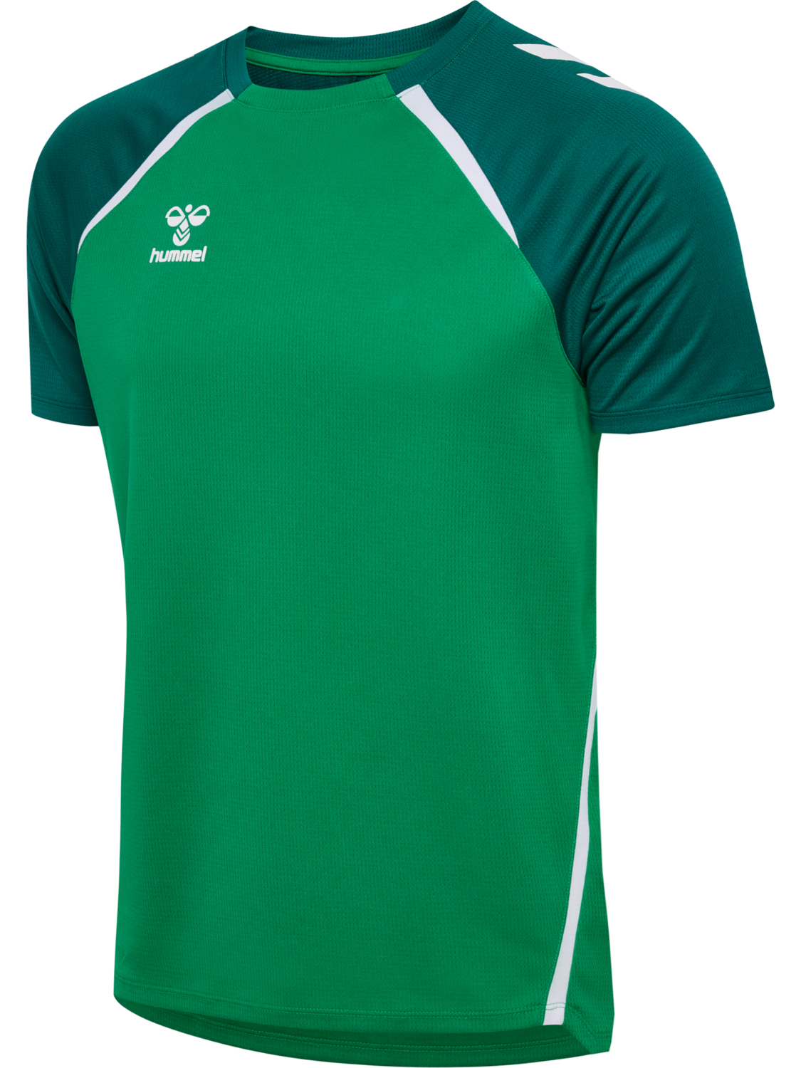 JELLY BEAN/EVERGREEN