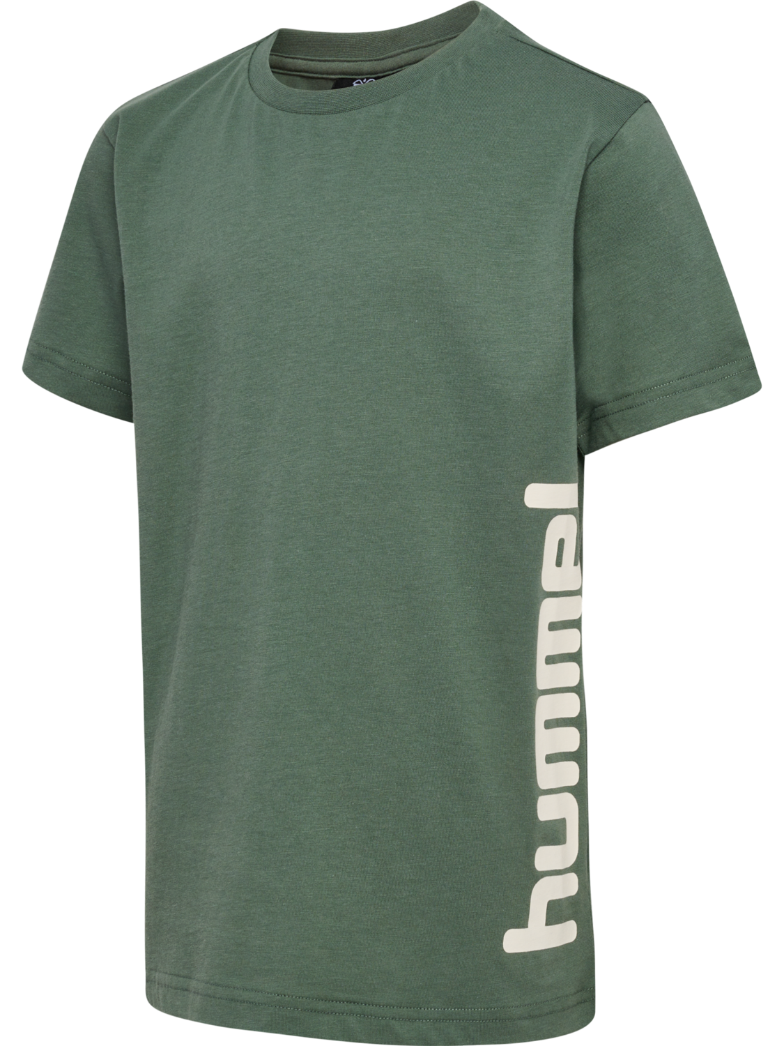 hmlPRINT T-SHIRT S/S, LAUREL WREATH, packshot