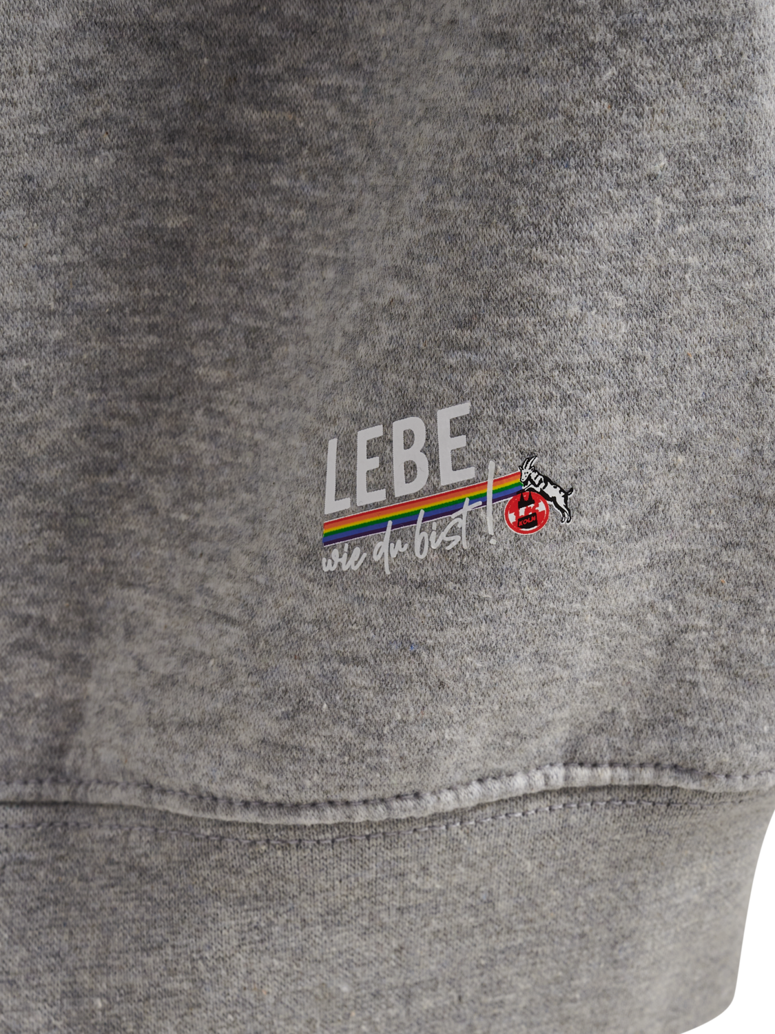 1FCK 23/24 LEBE SWEAT HOODIE WOMAN, LIGHT GREY MELANGE, packshot